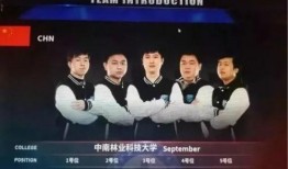 世硕最新爆料新闻视频,揭秘视频背后的惊人真相！