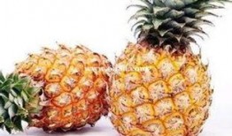 娱乐吃瓜小菠萝视频