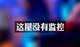 唐山酒吧爆料视频最新下载,最新下载揭露惊人内幕